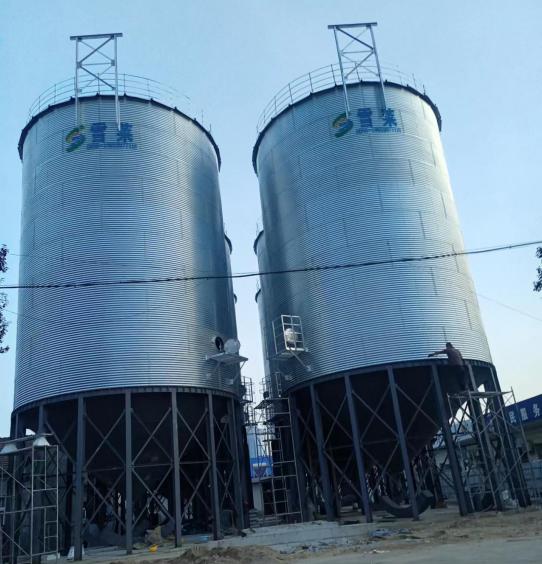 泰安粮贸公司2-1000T大豆，玉米存储仓项目案例