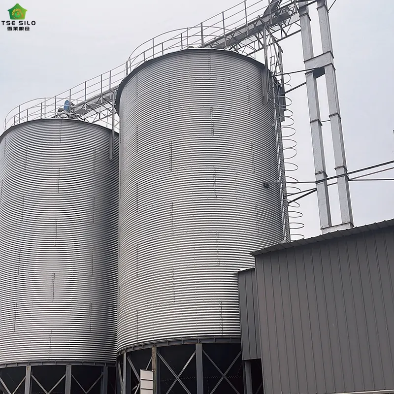 大型粮食筒仓建设完成 大型粮食筒仓建设完成